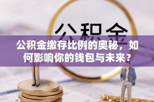 南召公积金缴存比例的奥秘，如何影响你的钱包与未来？