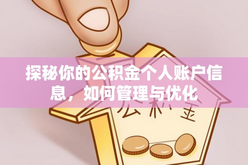 南召探秘你的公积金个人账户信息，如何管理与优化