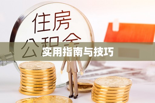 南召实用指南与技巧
