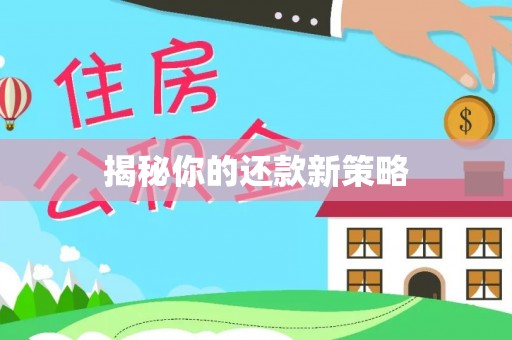 南召揭秘你的还款新策略