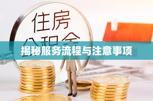 南召揭秘服务流程与注意事项