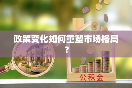 南召政策变化如何重塑市场格局？