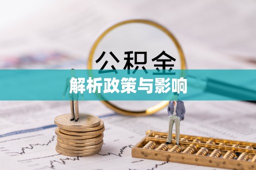 南召解析政策与影响