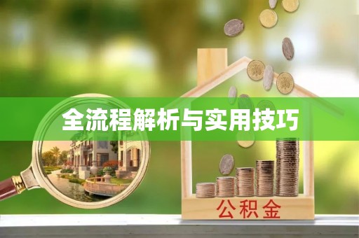 南召全流程解析与实用技巧