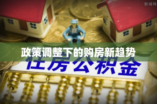 南召政策调整下的购房新趋势