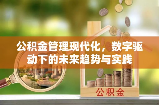 南召公积金管理现代化，数字驱动下的未来趋势与实践