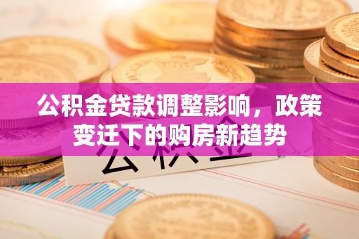 南召公积金贷款调整影响，政策变迁下的购房新趋势