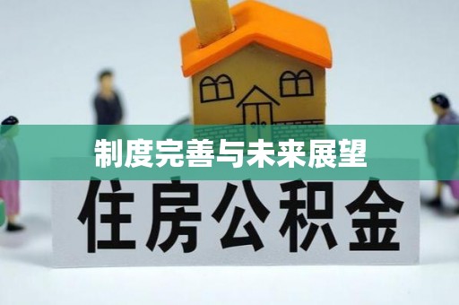 南召制度完善与未来展望