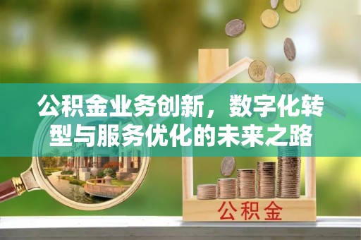 南召公积金业务创新，数字化转型与服务优化的未来之路