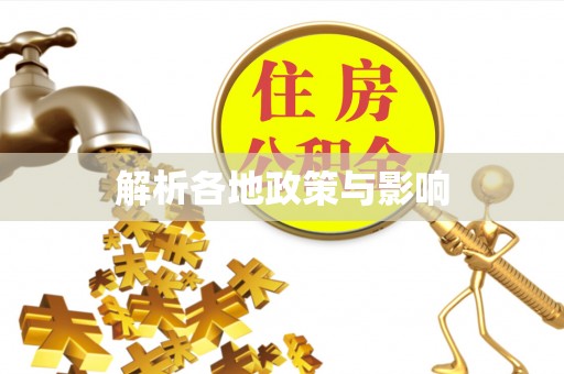 南召解析各地政策与影响