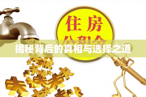 南召揭秘背后的真相与选择之道