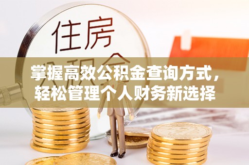 南召掌握高效公积金查询方式，轻松管理个人财务新选择
