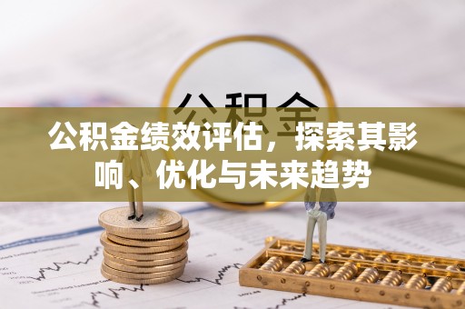 南召公积金绩效评估，探索其影响、优化与未来趋势