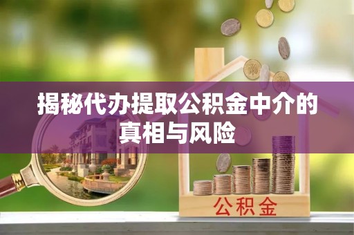 南召揭秘代办提取公积金中介的真相与风险