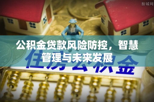 南召公积金贷款风险防控，智慧管理与未来发展