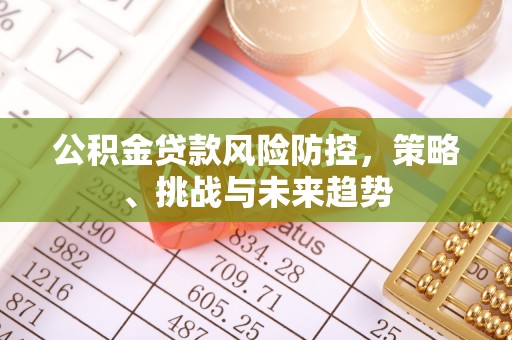 南召公积金贷款风险防控，策略、挑战与未来趋势