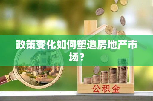 南召政策变化如何塑造房地产市场？