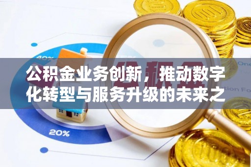 南召公积金业务创新，推动数字化转型与服务升级的未来之路