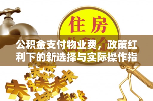 南召公积金支付物业费，政策红利下的新选择与实际操作指南