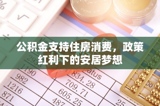 南召公积金支持住房消费，政策红利下的安居梦想