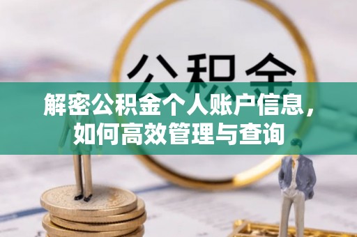 南召解密公积金个人账户信息，如何高效管理与查询
