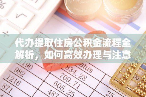 南召代办提取住房公积金流程全解析，如何高效办理与注意事项