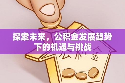 南召探索未来，公积金发展趋势下的机遇与挑战