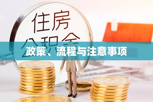 南召政策、流程与注意事项