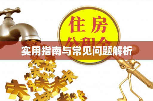 南召实用指南与常见问题解析