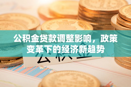 南召公积金贷款调整影响，政策变革下的经济新趋势