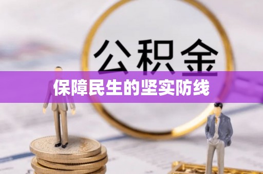 南召保障民生的坚实防线