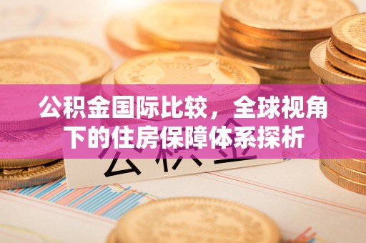 南召公积金国际比较，全球视角下的住房保障体系探析