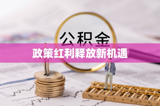 南召政策红利释放新机遇