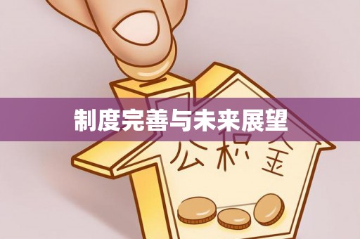 南召制度完善与未来展望