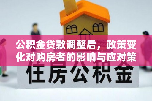 南召公积金贷款调整后，政策变化对购房者的影响与应对策略
