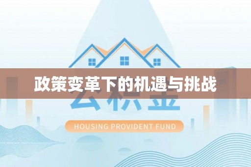 南召政策变革下的机遇与挑战