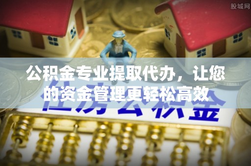 南召公积金专业提取代办，让您的资金管理更轻松高效