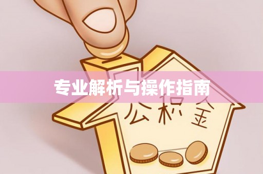 南召专业解析与操作指南