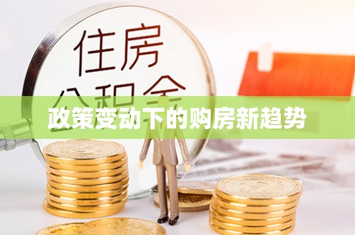 南召政策变动下的购房新趋势