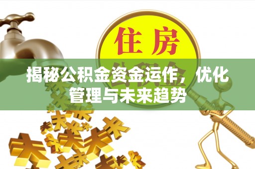 南召揭秘公积金资金运作，优化管理与未来趋势