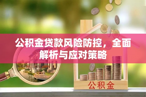南召公积金贷款风险防控，全面解析与应对策略