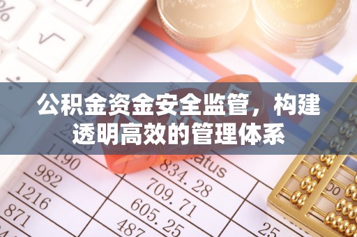 南召公积金资金安全监管，构建透明高效的管理体系