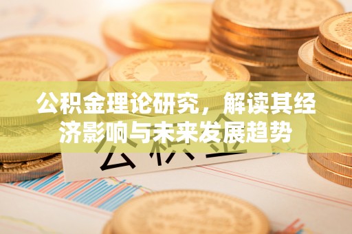 南召公积金理论研究，解读其经济影响与未来发展趋势
