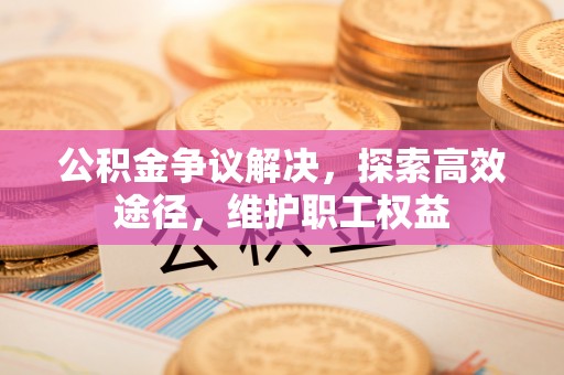 南召公积金争议解决，探索高效途径，维护职工权益