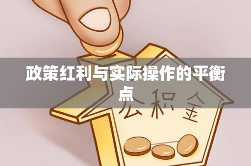 南召政策红利与实际操作的平衡点