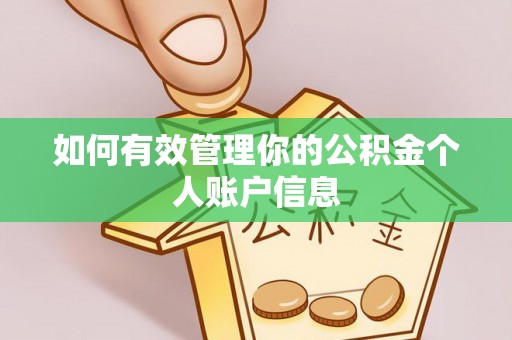 南召如何有效管理你的公积金个人账户信息