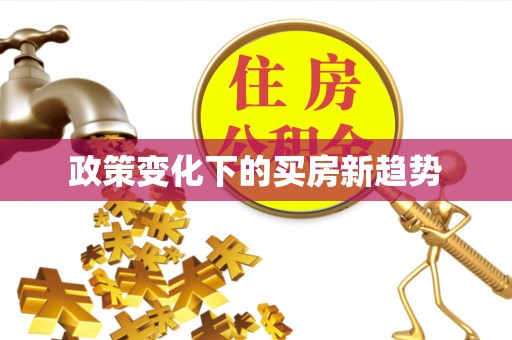 南召政策变化下的买房新趋势