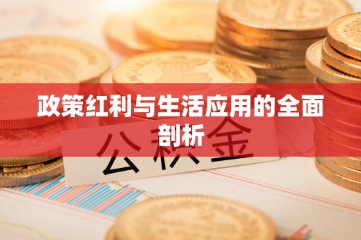 南召政策红利与生活应用的全面剖析