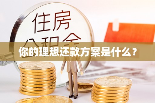 南召你的理想还款方案是什么？