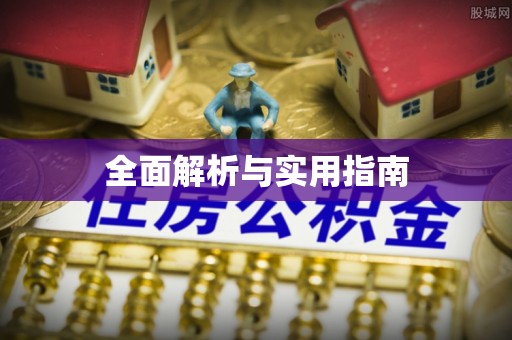 南召全面解析与实用指南
